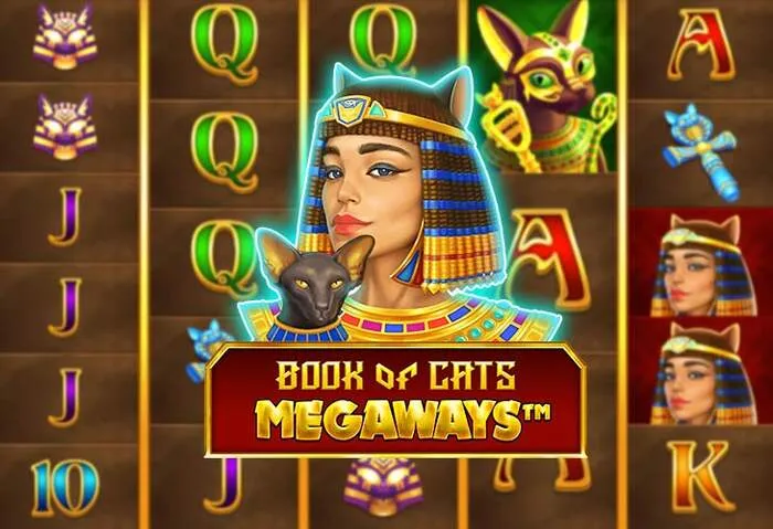 Alle relevanten Zahlungsmethoden & Bonus Auszahlungstipps fürs Casino